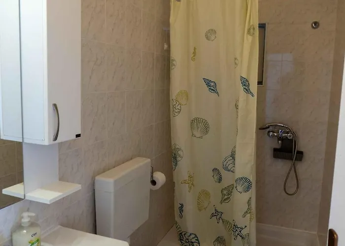 בית הארחה Apartments&Rooms By Auro וודיצה